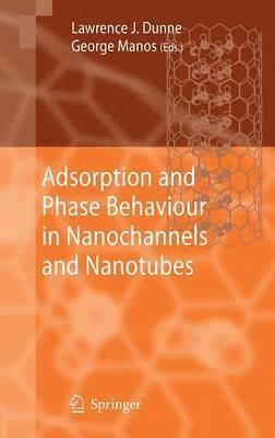 bokomslag Adsorption and Phase Behaviour in Nanochannels and Nanotubes