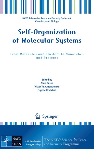Nino Russo, Victor Ya Antonchenko, Eugene Kryachko - Self-Organization of Molecular Systems, Inbunden