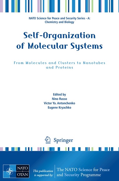 Nino Russo, Victor Ya Antonchenko, Eugene Kryachko - Self-Organization of Molecular Systems, Häftad
