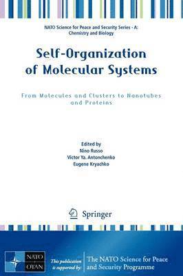 Nino Russo, Victor Ya Antonchenko, Eugene Kryachko - Self-Organization of Molecular Systems, Häftad
