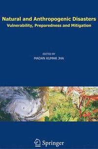 bokomslag Natural and Anthropogenic Disasters