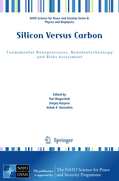 bokomslag Silicon Versus Carbon