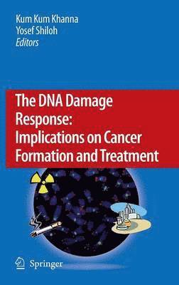 bokomslag The DNA Damage Response: Implications on Cancer Formation and Treatment