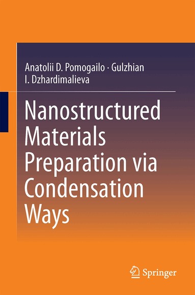 Anatolii D. Pomogailo, Gulzhian I. Dzhardimalieva - Nanostructured Materials Preparation via Condensation Ways, Inbunden