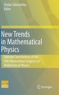 bokomslag New Trends in Mathematical Physics