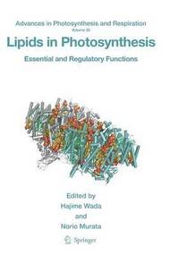bokomslag Lipids in Photosynthesis