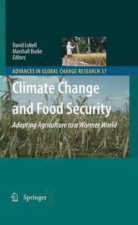 bokomslag Climate Change and Food Security