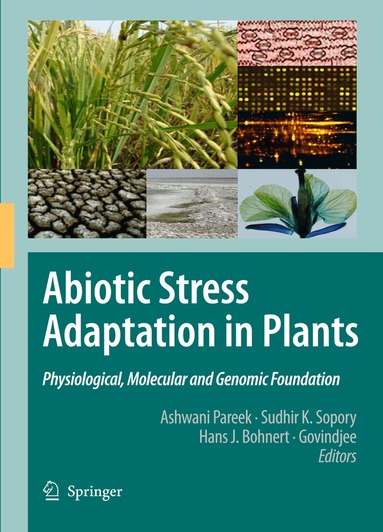 Ashwani Pareek, S.K. Sopory, Hans J. Bohnert, Govindjee - Abiotic Stress Adaptation in Plants, Inbunden
