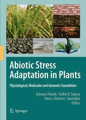 bokomslag Abiotic Stress Adaptation in Plants