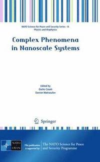 bokomslag Complex Phenomena in Nanoscale Systems