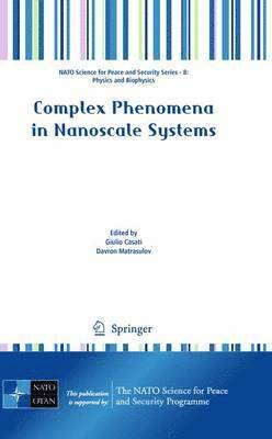 bokomslag Complex Phenomena in Nanoscale Systems