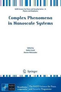 bokomslag Complex Phenomena in Nanoscale Systems