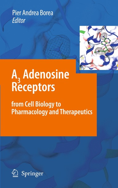 bokomslag A3 Adenosine Receptors from Cell Biology to Pharmacology and Therapeutics