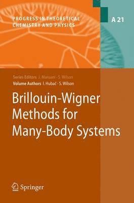 Brillouin-Wigner Methods for Many-Body Systems 1