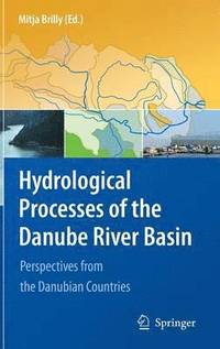 bokomslag Hydrological Processes of the Danube River Basin