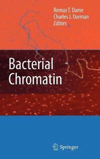 bokomslag Bacterial Chromatin