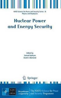 bokomslag Nuclear Power and Energy Security