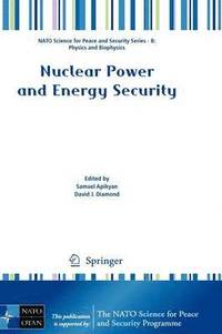 bokomslag Nuclear Power and Energy Security