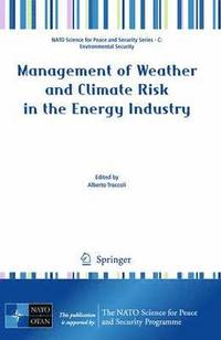 bokomslag Management of Weather and Climate Risk in the Energy Industry