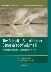 bokomslag The Acheulian Site of Gesher Benot Yaaqov Volume II