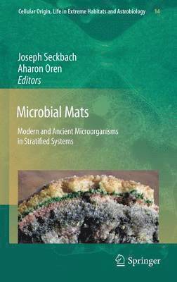 Microbial Mats 1