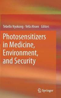 bokomslag Photosensitizers in Medicine, Environment, and Security