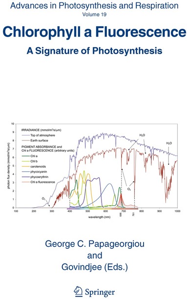 G.C. Papageorgiou, Govindjee - Chlorophyll a Fluorescence, Häftad