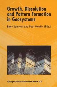 bokomslag Growth, Dissolution and Pattern Formation in Geosystems