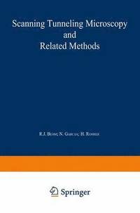 bokomslag Scanning Tunneling Microscopy and Related Methods