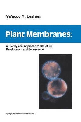 bokomslag Plant Membranes