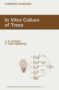 bokomslag In Vitro Culture of Trees