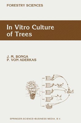 bokomslag In Vitro Culture of Trees