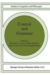 bokomslag Control and Grammar