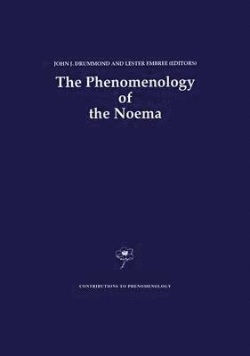 J.J. Drummond, Lester Embree, J. J. Drummond - Phenomenology of the Noema, Häftad