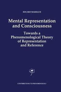 bokomslag Mental Representation and Consciousness