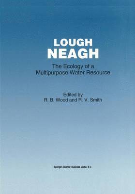 Lough Neagh 1