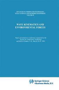 bokomslag Wave Kinematics and Environmental Forces