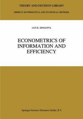 bokomslag Econometrics of Information and Efficiency