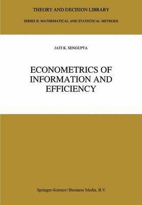 Econometrics of Information and Efficiency
