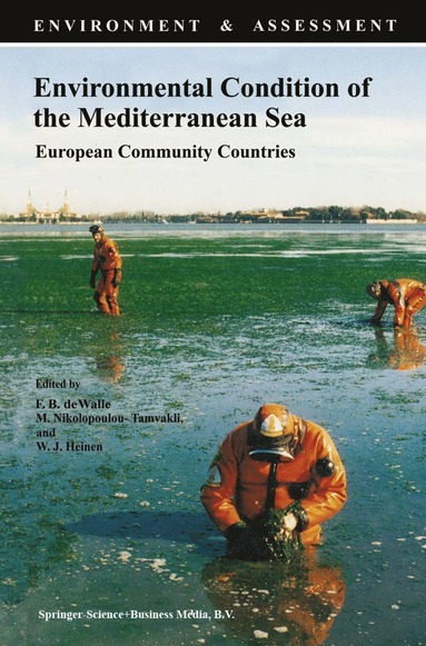 bokomslag Environmental Condition of the Mediterranean Sea