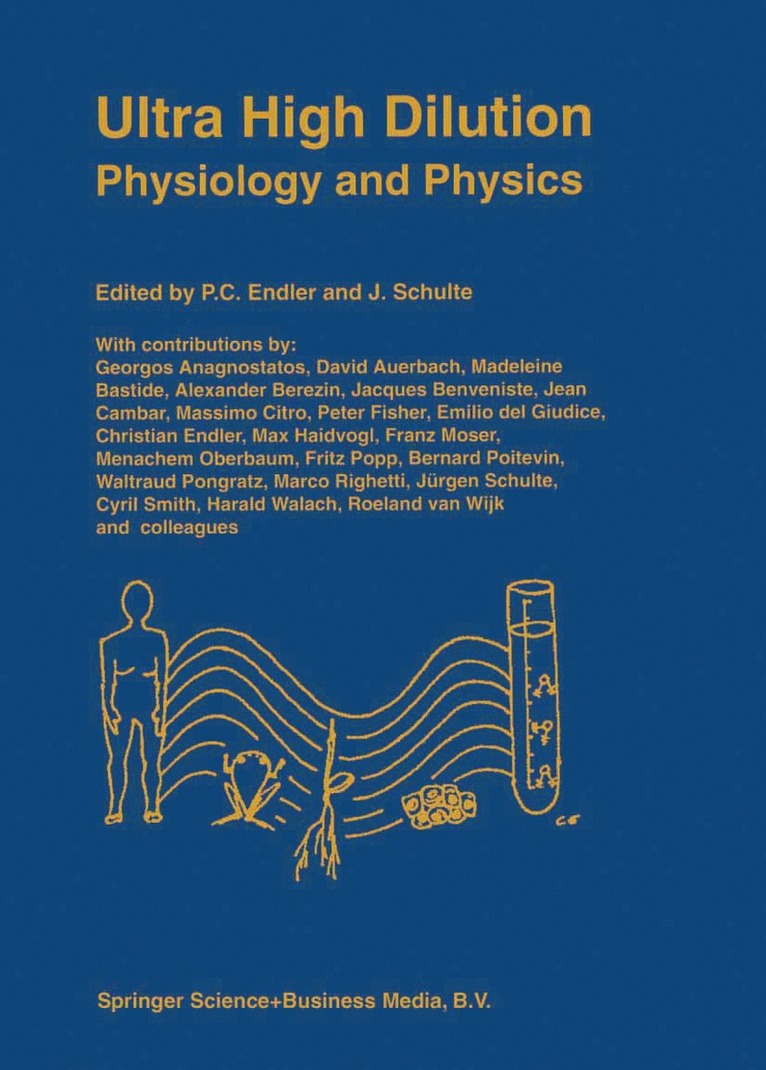 P.C. Endler, J. Schulte, P. C. Endler - Ultra High Dilution, Häftad