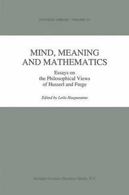 bokomslag Mind, Meaning and Mathematics