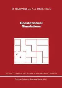 bokomslag Geostatistical Simulations