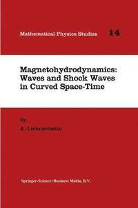 bokomslag Magnetohydrodynamics: Waves and Shock Waves in Curved Space-Time