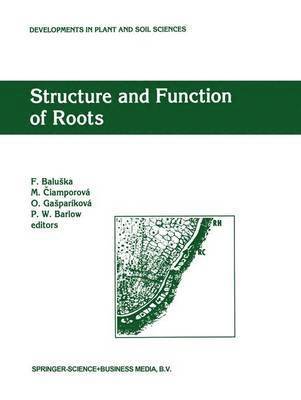 Structure and Function of Roots