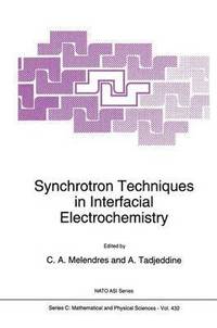 bokomslag Synchrotron Techniques in Interfacial Electrochemistry