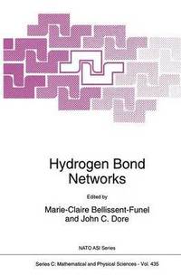 bokomslag Hydrogen Bond Networks