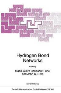 bokomslag Hydrogen Bond Networks