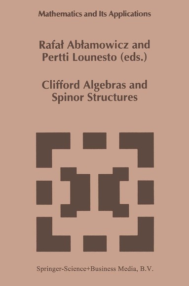 Rafal Ablamowicz, P. Lounesto - Clifford Algebras and Spinor Structures, Häftad