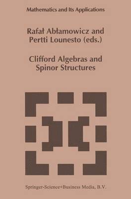 Clifford Algebras and Spinor Structures 1